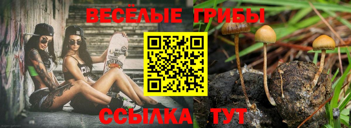 дарнет шоп  Вход с VPN  Пугачёв  Галлюциногенные грибы мицелий 