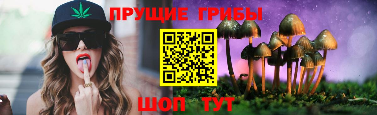 Галлюциногенные грибы мицелий Пугачёв